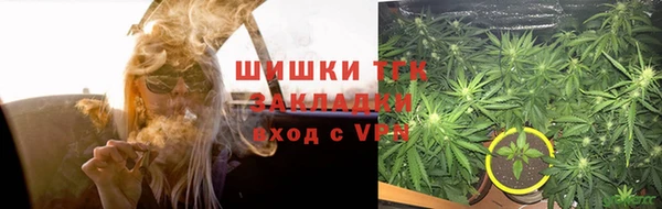 spice Алзамай