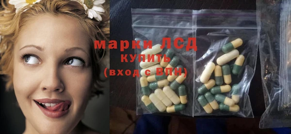 spice Алзамай