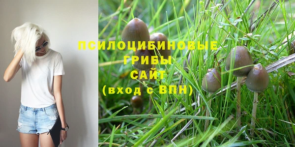 спиды Алексеевка