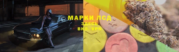 spice Алзамай