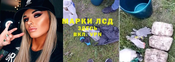 spice Алзамай