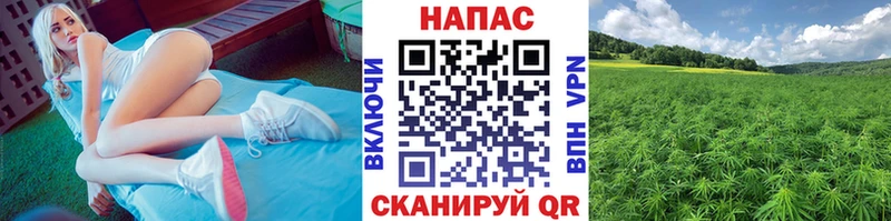Бошки марихуана THC 21%  Миньяр 